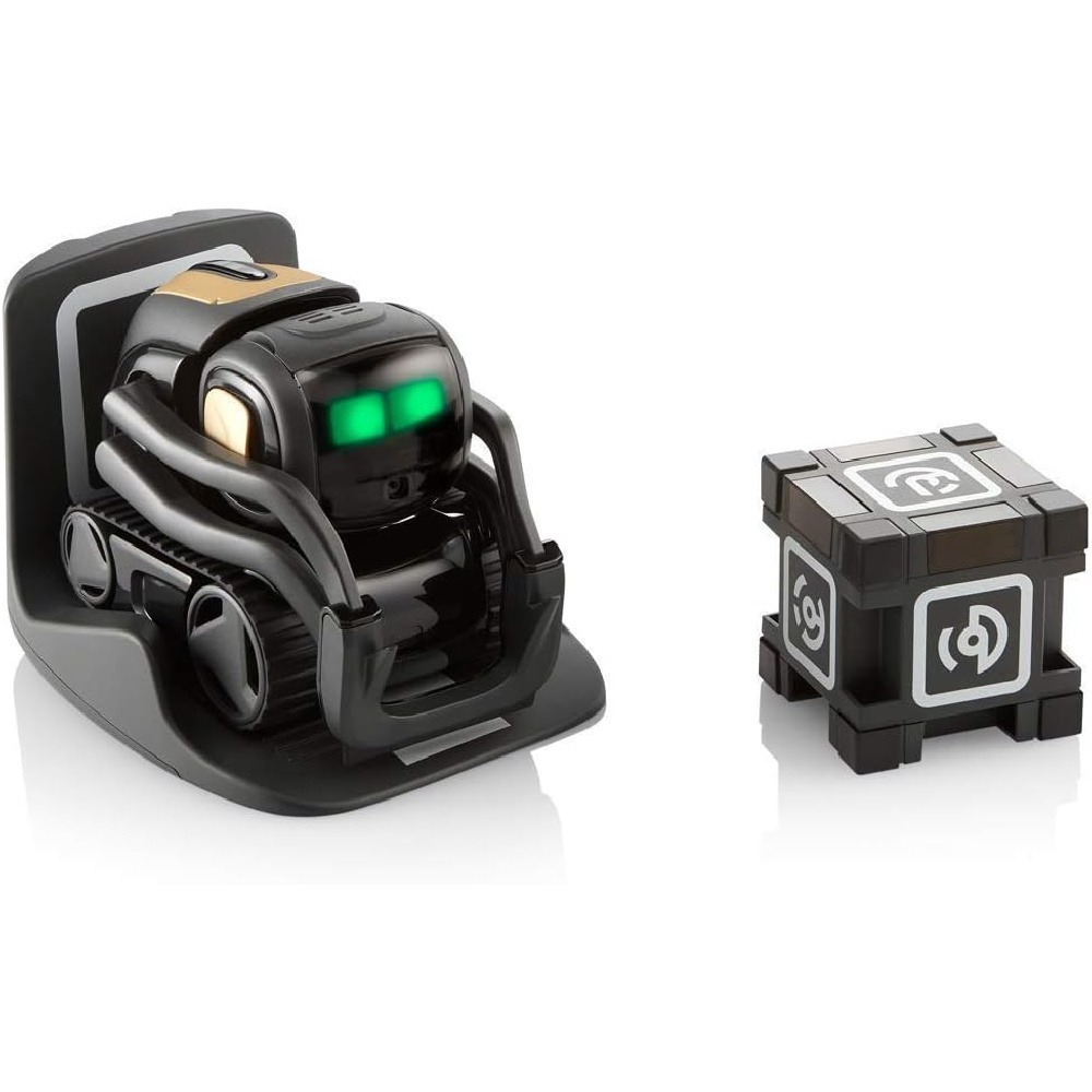 AI ChatGPT 2.0 Connected Robot - огляд і ціна Robot Remote Control