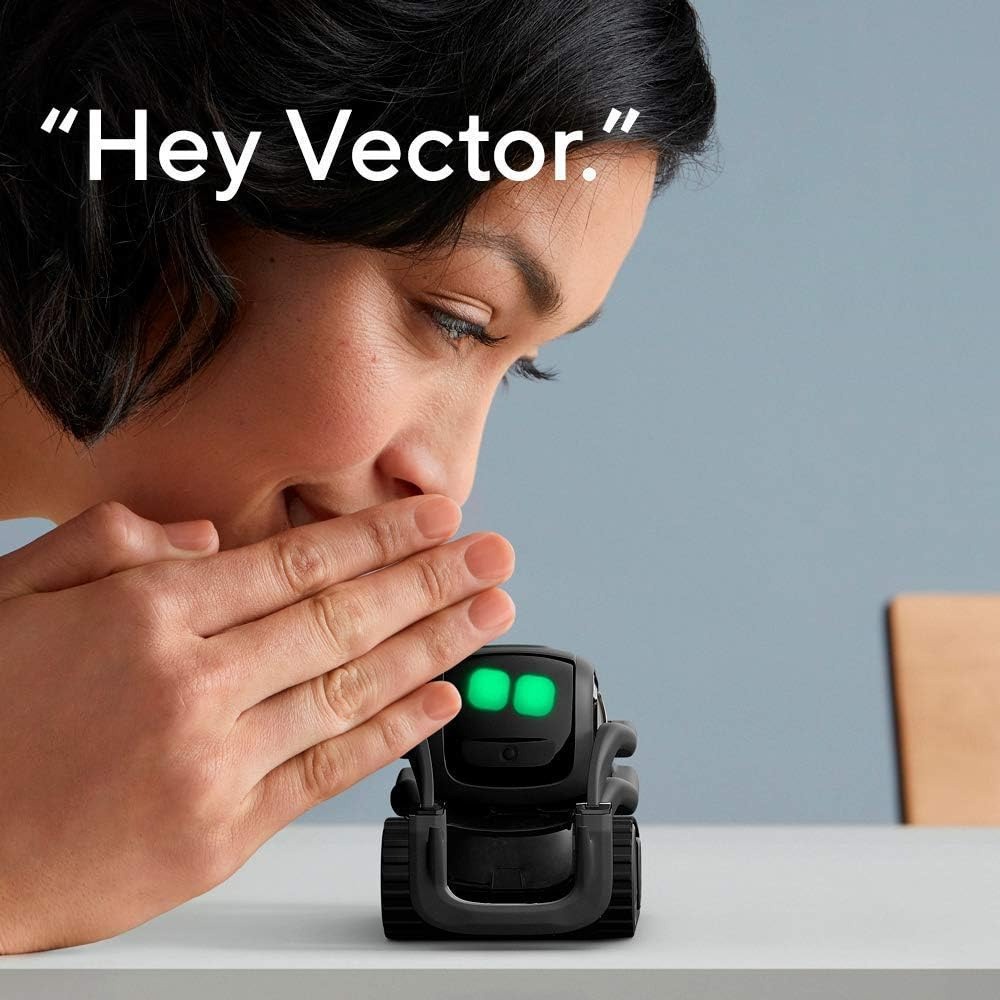 AI ChatGPT 2.0 Connected Robot - огляд і ціна Robot Remote Control